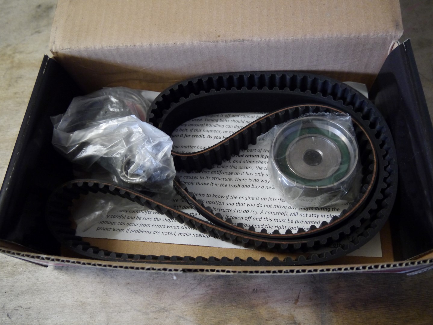 P1040658 (Large).JPG