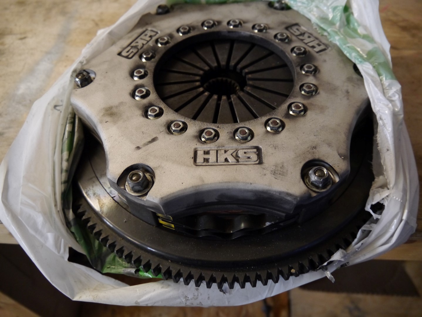 P1040668 (Large).JPG