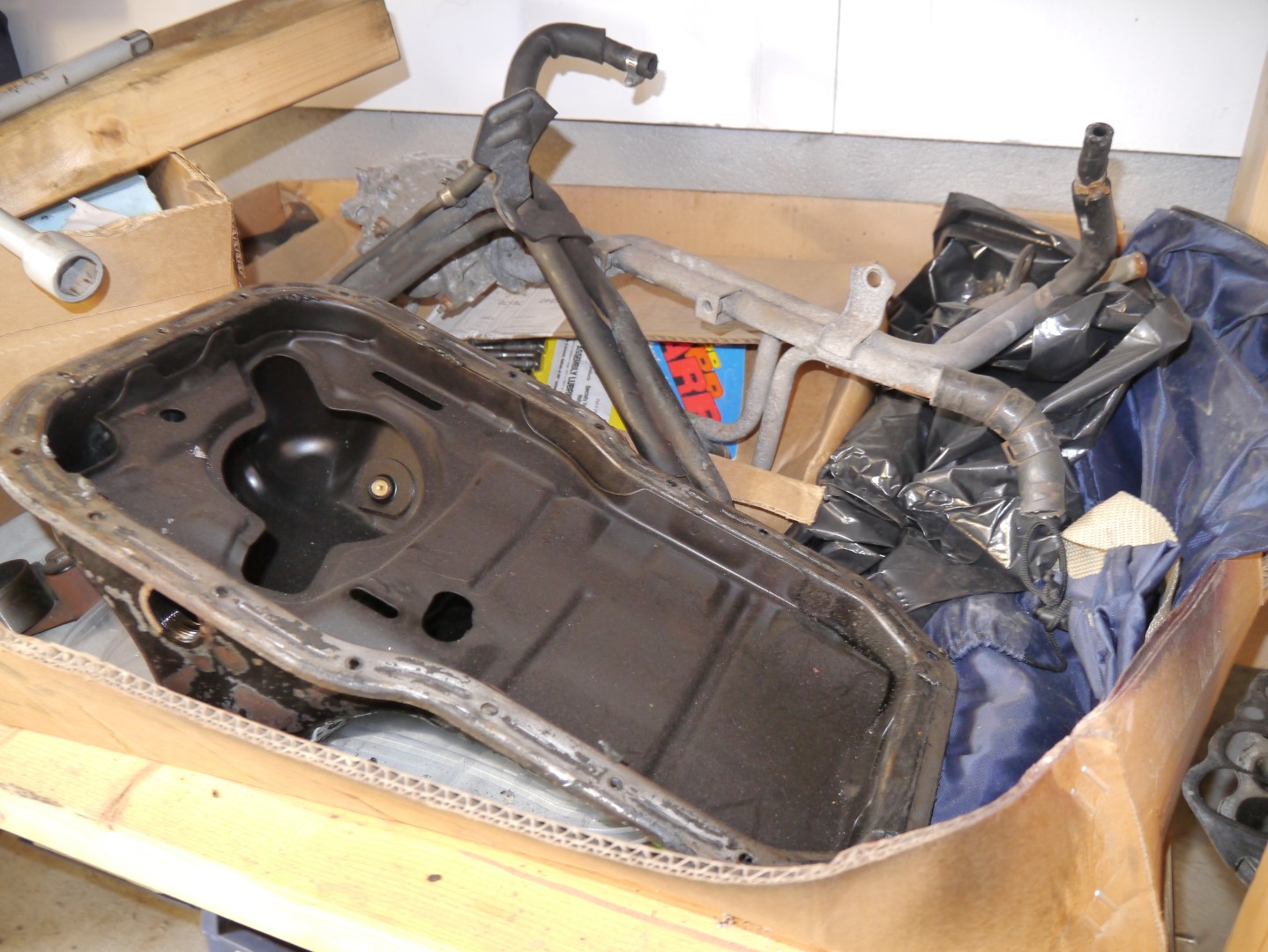 P1040670 (Large).JPG