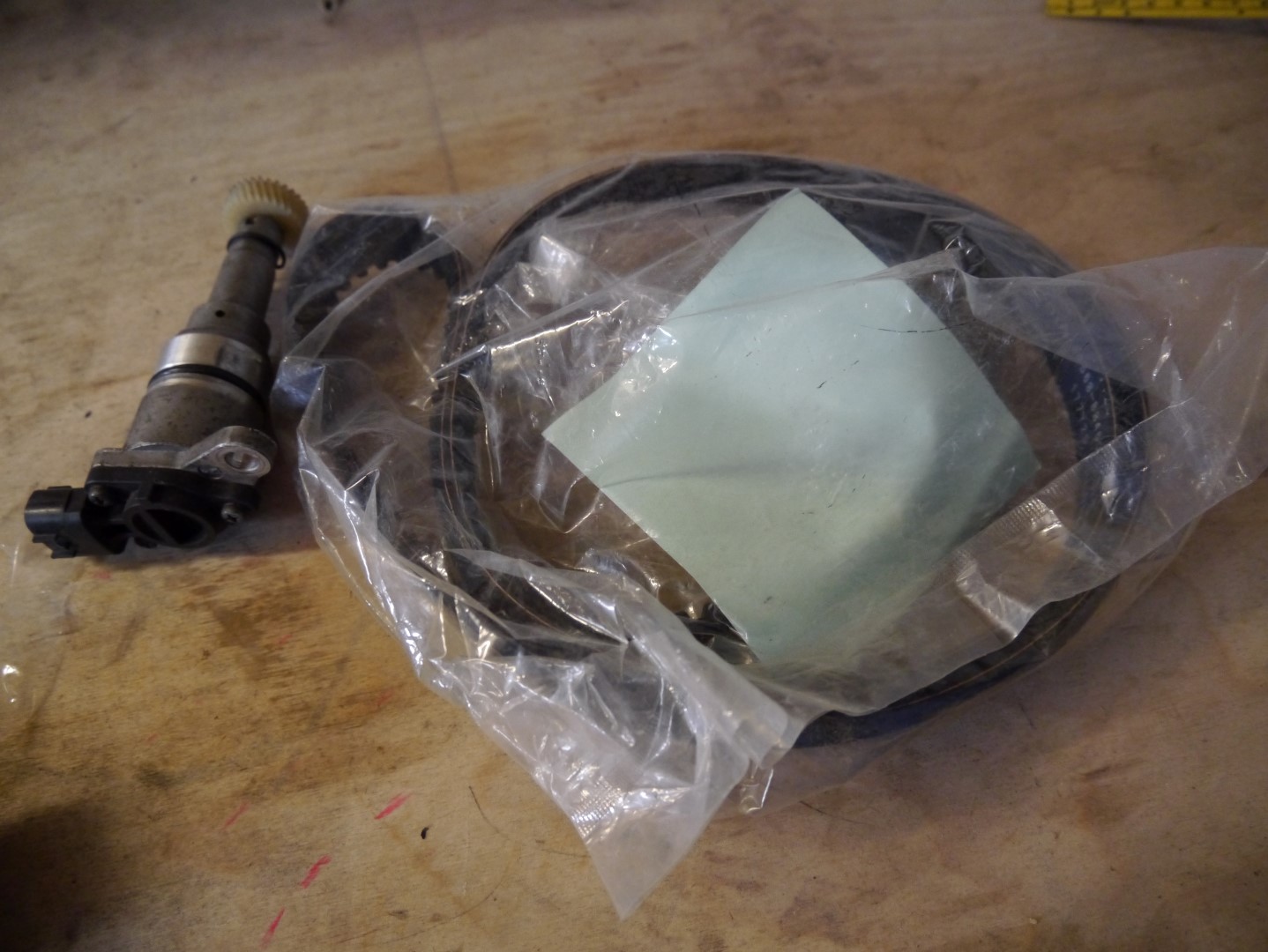 P1040675 (Large).JPG