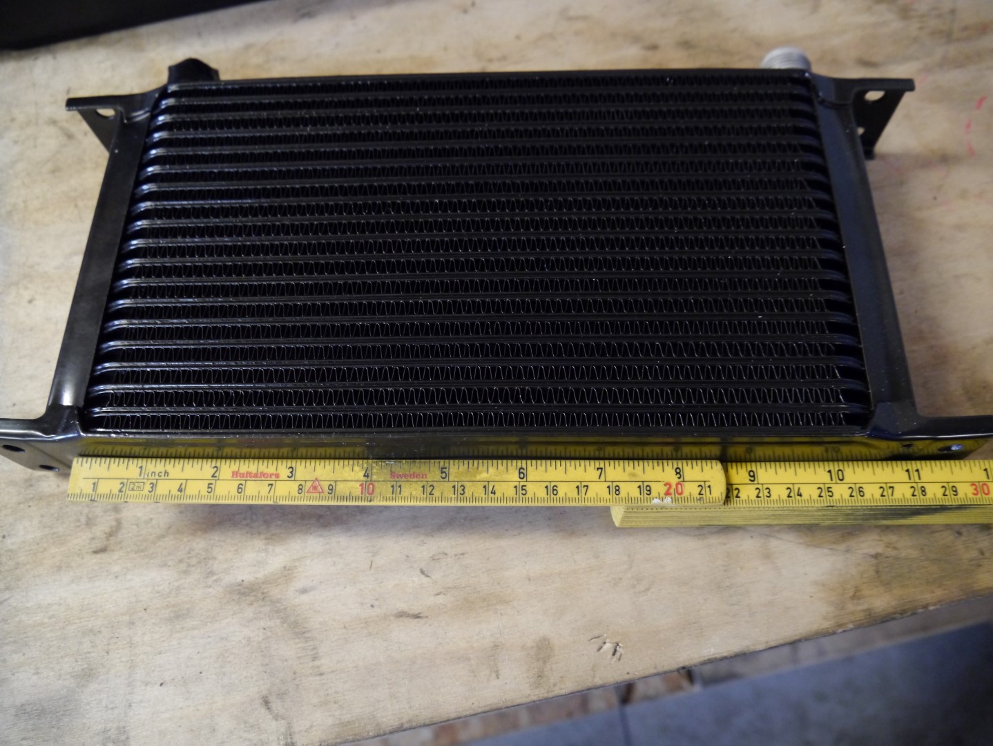 P1040677 (Large).JPG