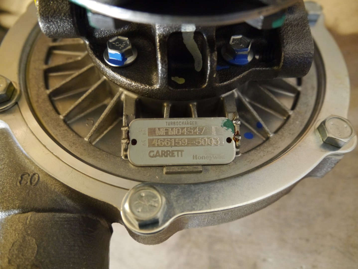 P1040688 (Large).JPG