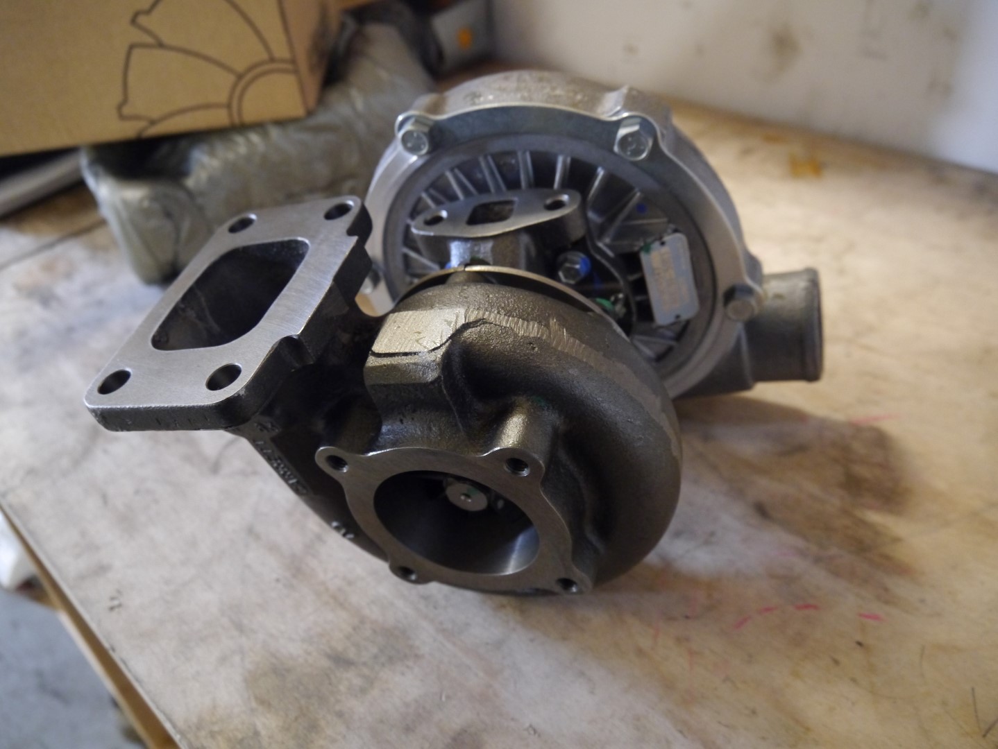 P1040687 (Large).JPG