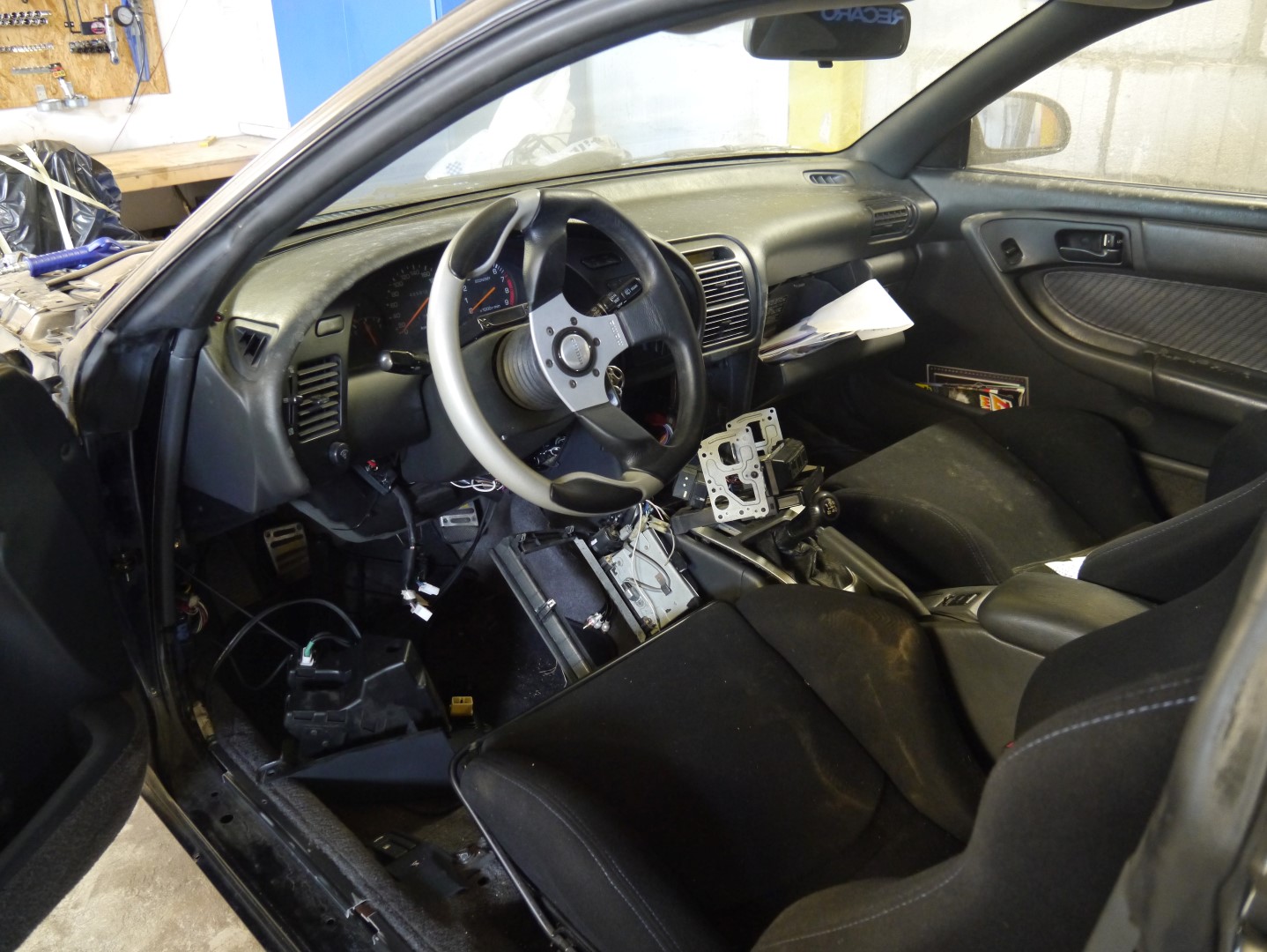 P1040696 (Large).JPG