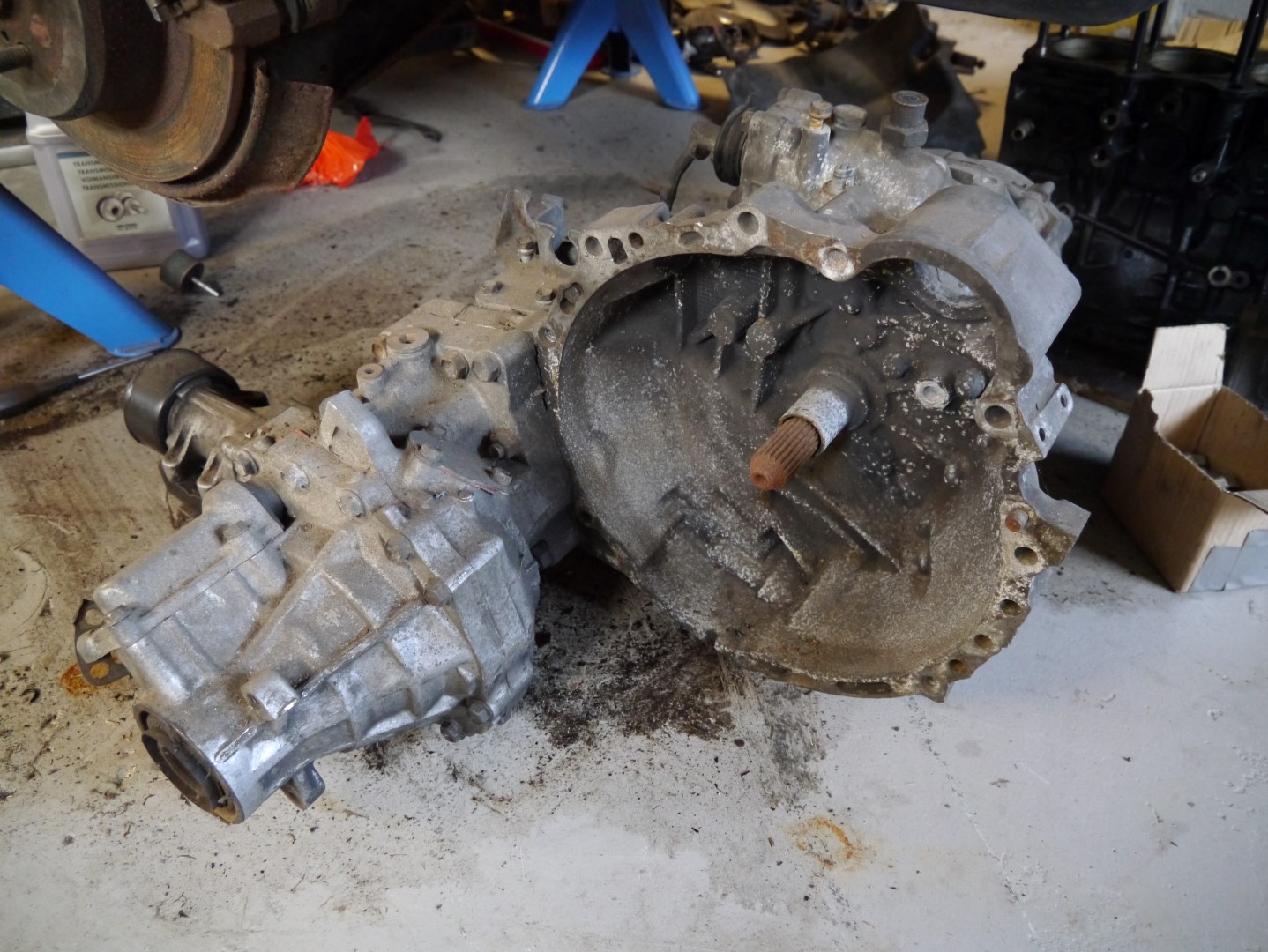 P1040700 (Large).JPG