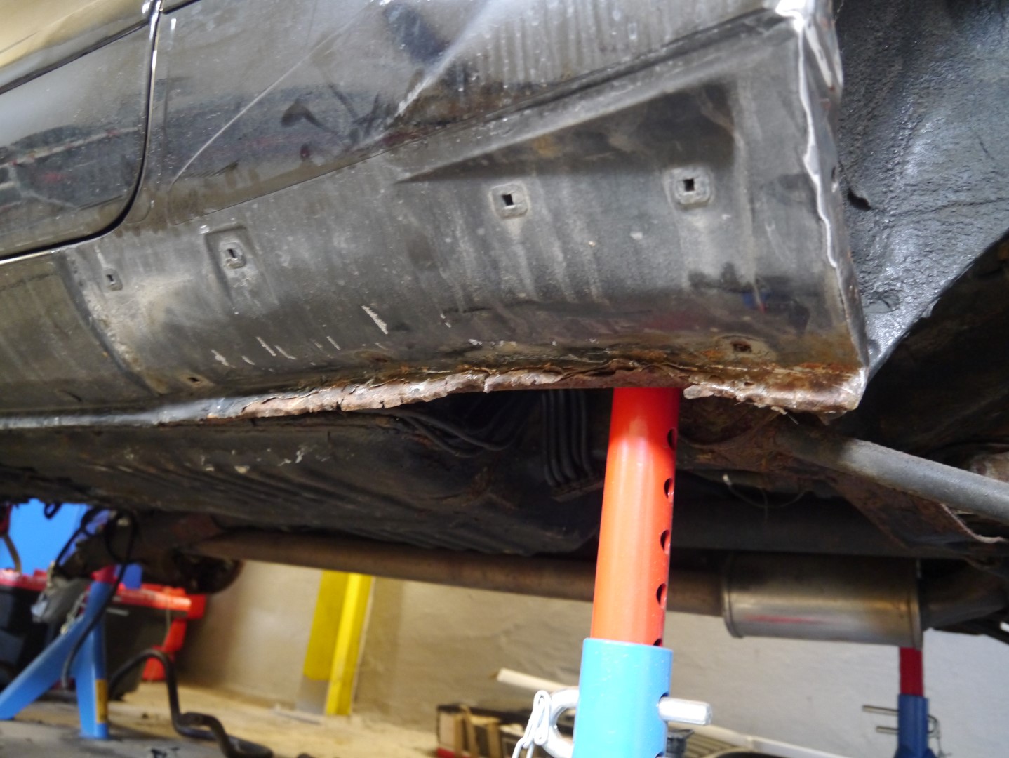 P1040703 (Large).JPG