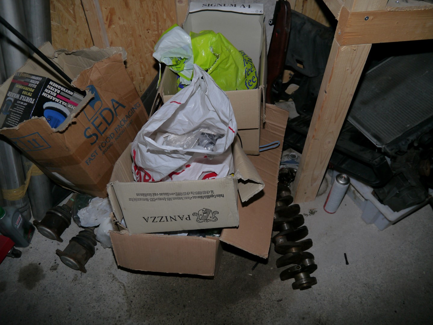 P1040712 (Large).JPG