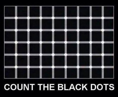 604017_10152036865133343_236291796_n.jpg