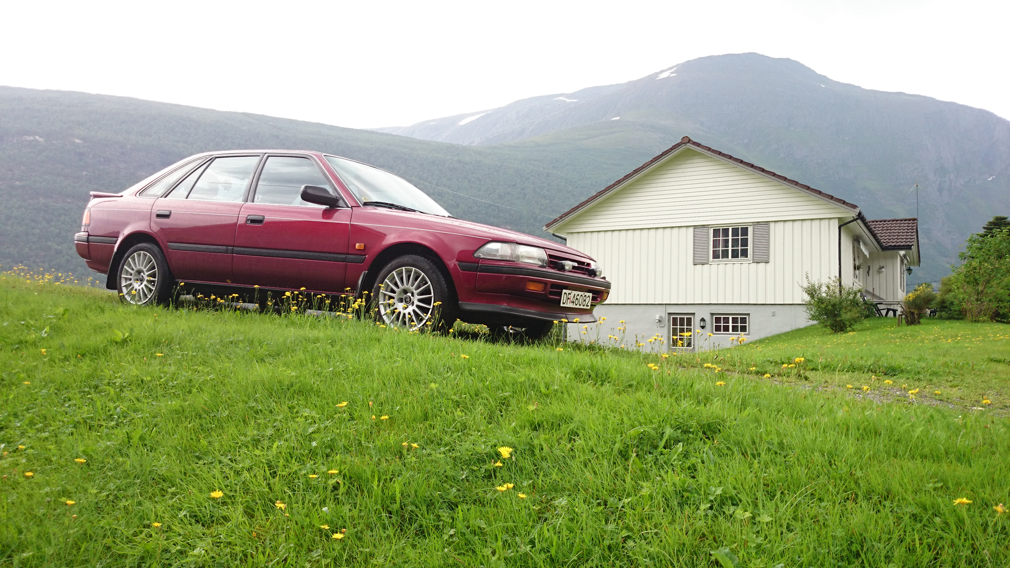 DSC_10372 2000px.jpg