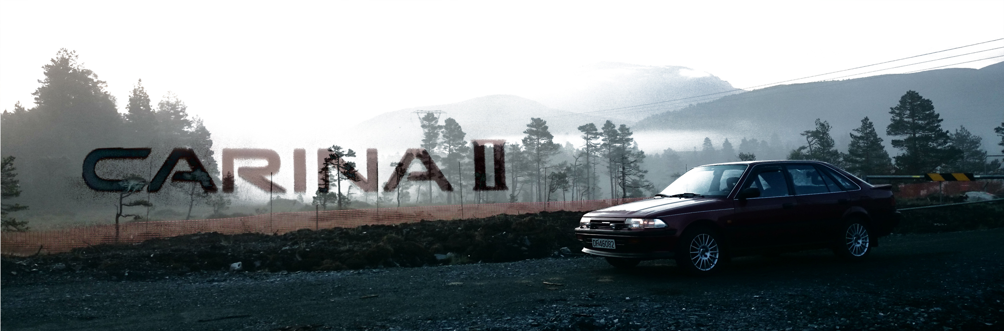 CARINA II banner 2000px.jpg