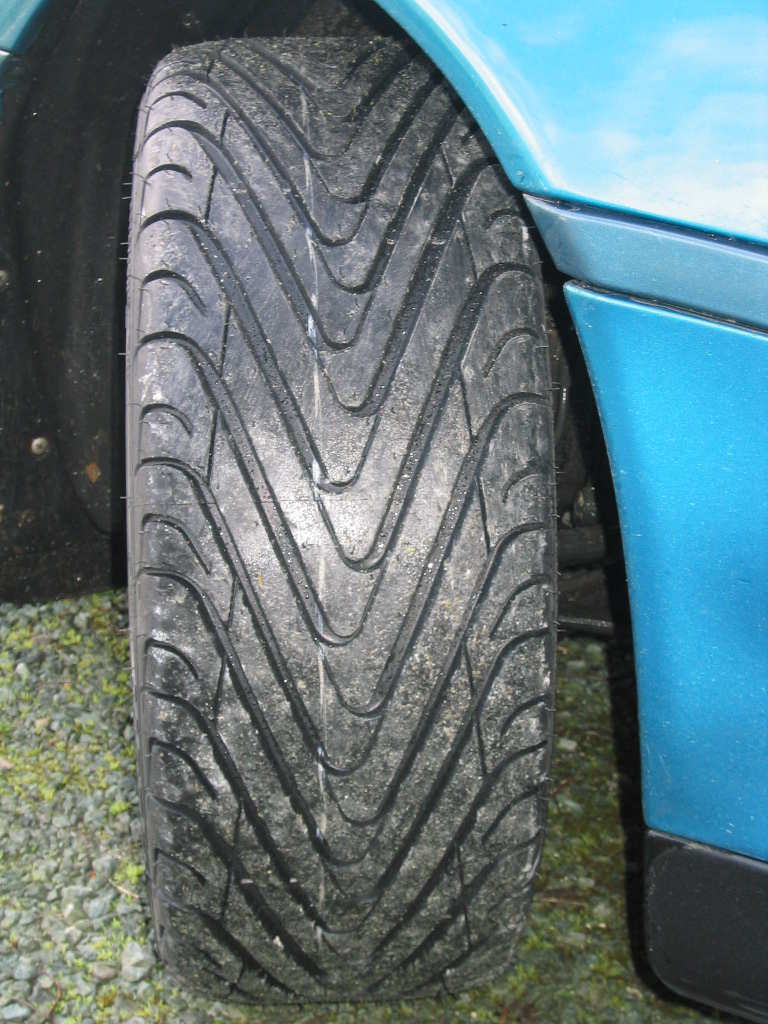 IMG_1230.jpg