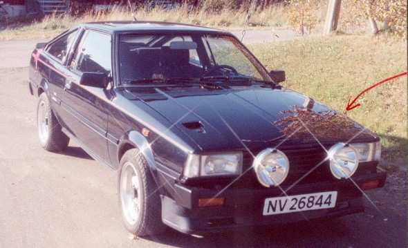Corolla5.jpg