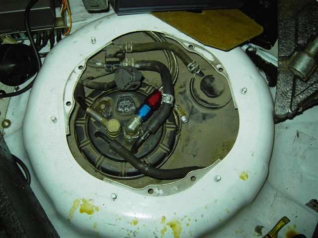 hehehehe linjen frem.JPG