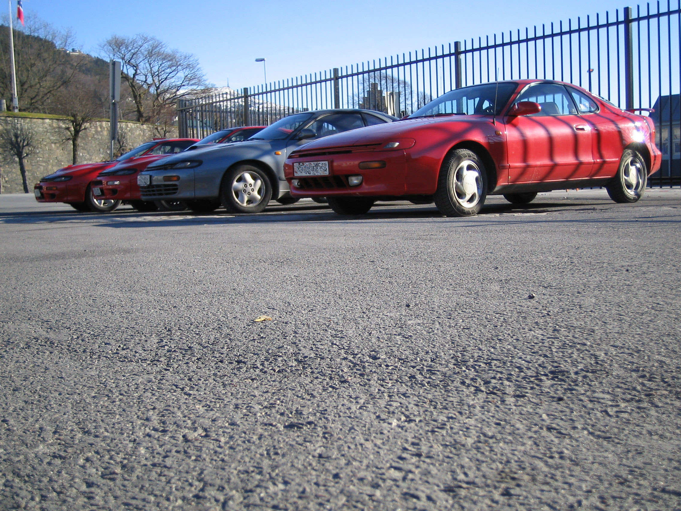 Celicaene fra andre siden