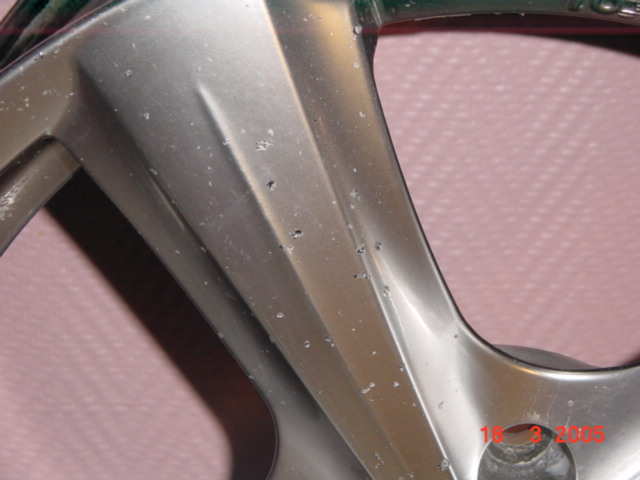 Picture 029.jpg