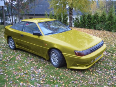 celicagul.jpg