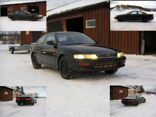 Henta denne i vinter fra Japan