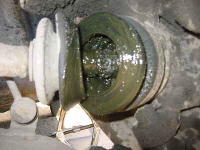 100-0083_IMG.JPG
